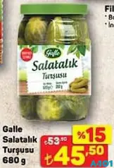 GALLE SALATALIK TURŞUSU 680 G fiyat ve kampanya bilgisi